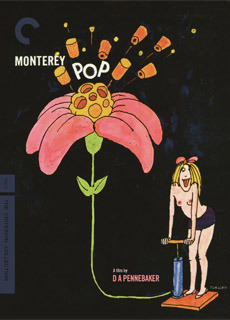 蒙特雷流行音乐节